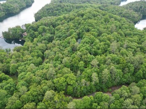 000 Dogwood Trail Robbinsville NC 28771