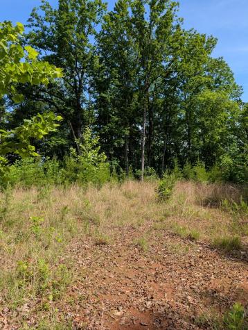 Tr 2 Flacon Overlook Hayesville NC 28904