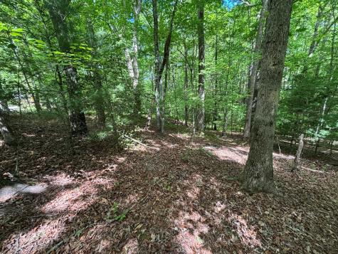 Lot 1B Forest Lane Murphy NC 28906