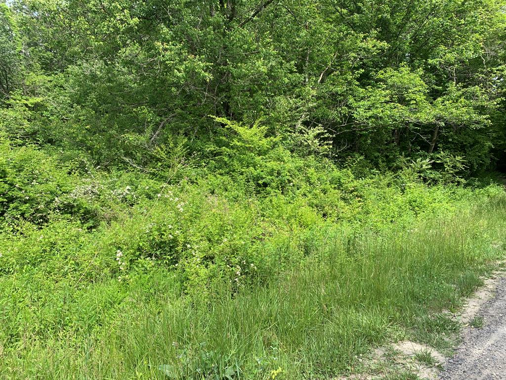 17.76 Ac Greasy Creek Road Murphy NC 28906