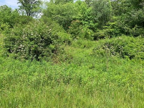 17.76 Ac Greasy Creek Road Murphy NC 28906