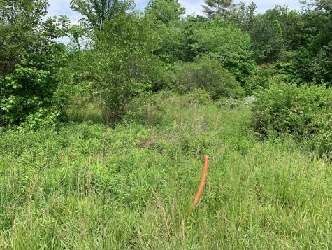 17.76 Ac Greasy Creek Road Murphy NC 28906