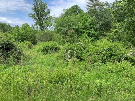 17.76 Ac Greasy Creek Road Murphy NC 28906