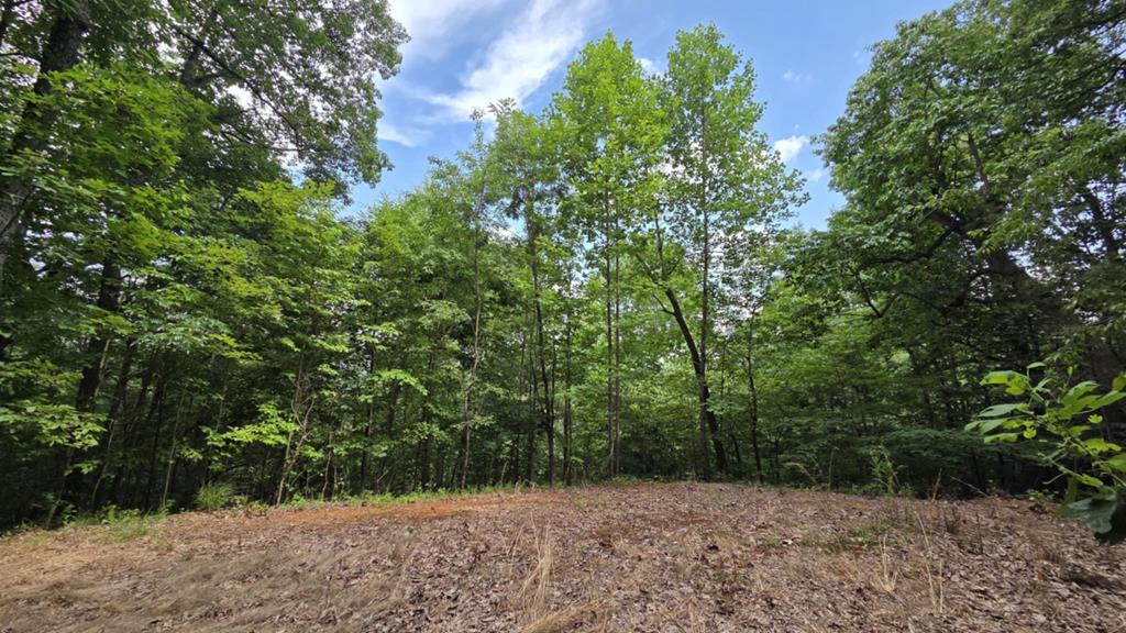 00 Talon Drive Murphy NC 28906