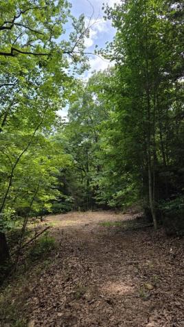 00 Talon Drive Murphy NC 28906