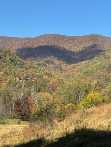 10617 Highway 64 E Hayesville NC 28904