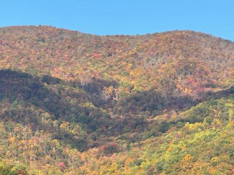 10617 Highway 64 E Hayesville NC 28904