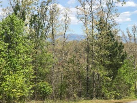 Lot 29 Brasstown View Road Murphy NC 28906