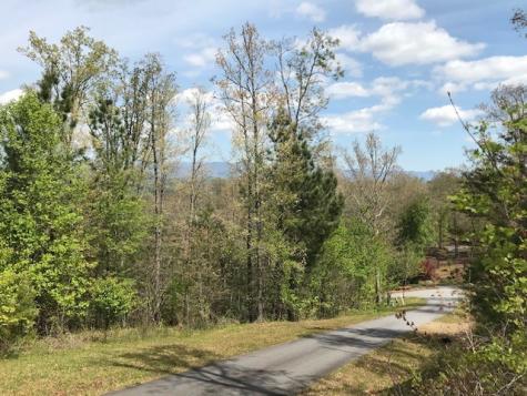 Lot 29 Brasstown View Road Murphy NC 28906