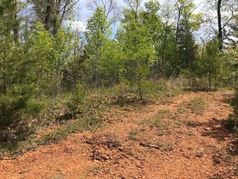 Lot 29 Brasstown View Road Murphy NC 28906