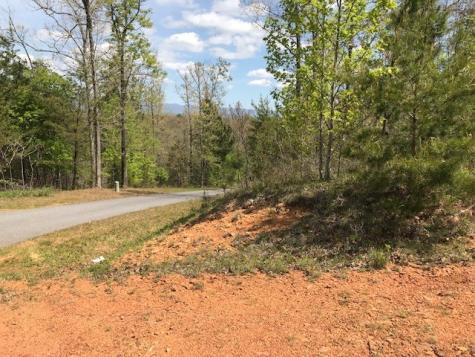 Lot 29 Brasstown View Road Murphy NC 28906