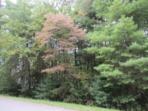 Lot 25 Byers Road Blairsville GA 30512