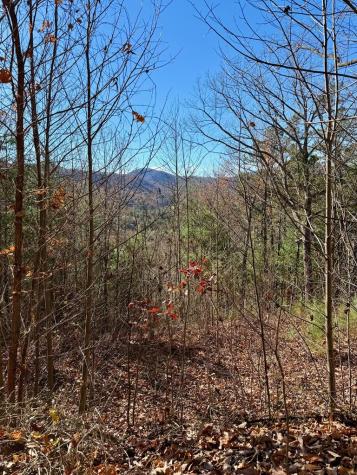 Lot 14 View Ridge Trail Murphy NC 28906