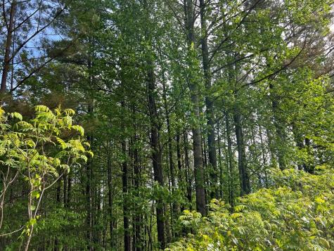 Lot 25 Loftis Mountain Blairsville GA 30512