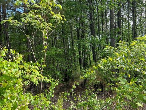 Lot 25 Loftis Mountain Blairsville GA 30512