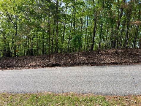 Lot 25 Loftis Mountain Blairsville GA 30512