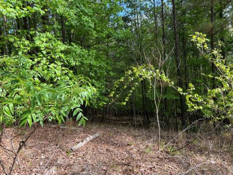 Lot 25 Loftis Mountain Blairsville GA 30512