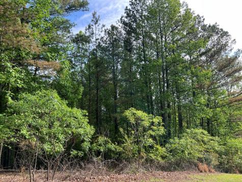 Lot 25 Loftis Mountain Blairsville GA 30512