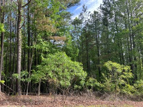Lot 25 Loftis Mountain Blairsville GA 30512