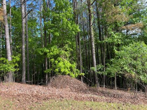 Lot 25 Loftis Mountain Blairsville GA 30512