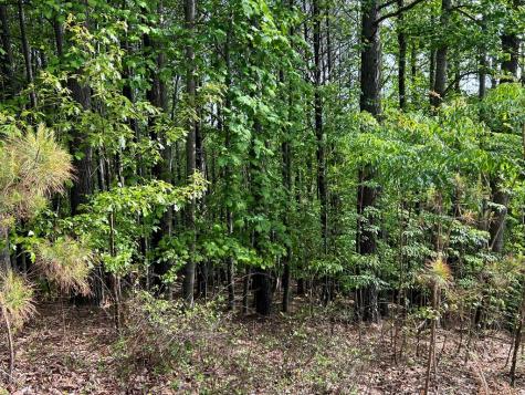 Lot 25 Loftis Mountain Blairsville GA 30512