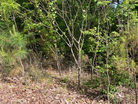Lot 25 Loftis Mountain Blairsville GA 30512