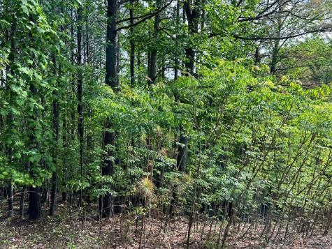 Lot 25 Loftis Mountain Blairsville GA 30512