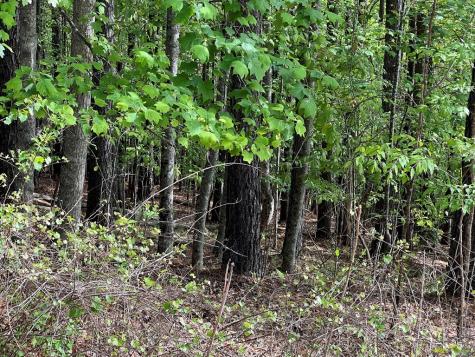 Lot 25 Loftis Mountain Blairsville GA 30512