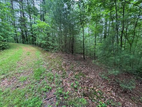 Lot 11 Horse Camp Drive Hayesville NC 28904