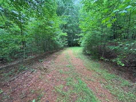 Lot 11 Horse Camp Drive Hayesville NC 28904
