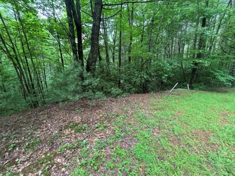 Lot 11 Horse Camp Drive Hayesville NC 28904