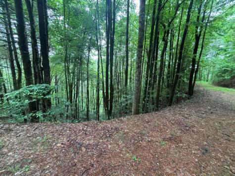 Lot 11 Horse Camp Drive Hayesville NC 28904