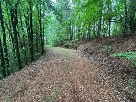 Lot 11 Horse Camp Drive Hayesville NC 28904