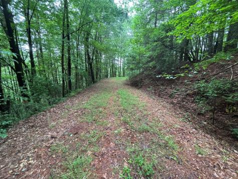 Lot 11 Horse Camp Drive Hayesville NC 28904