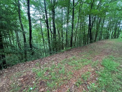 Lot 11 Horse Camp Drive Hayesville NC 28904