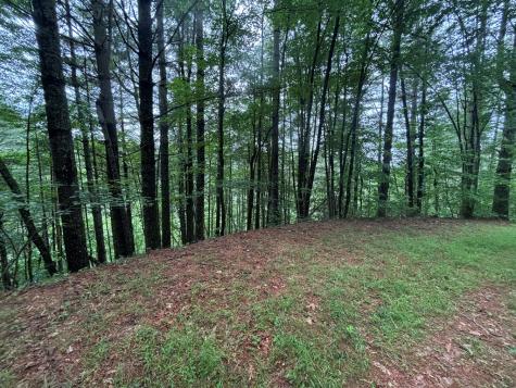 Lot 11 Horse Camp Drive Hayesville NC 28904