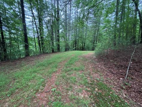 Lot 11 Horse Camp Drive Hayesville NC 28904