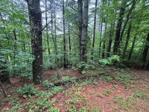 Lot 11 Horse Camp Drive Hayesville NC 28904