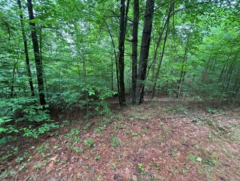 Lot 11 Horse Camp Drive Hayesville NC 28904