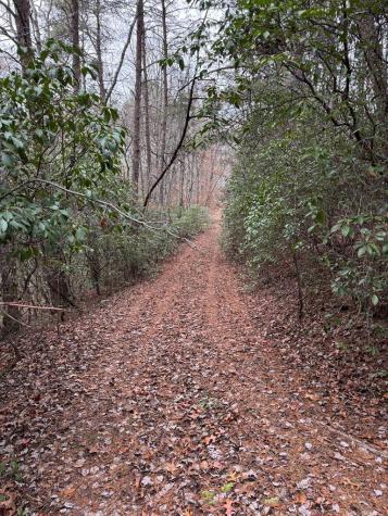 289 Paradise Park Murphy NC 28906