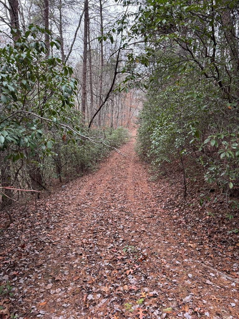 289 Paradise Park Murphy NC 28906