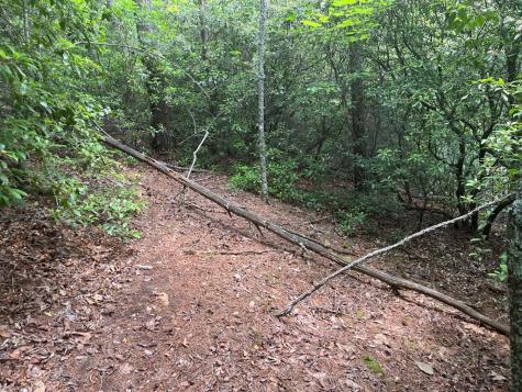 289 Paradise Park Murphy NC 28906