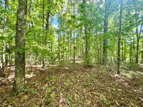 LT 3 Rockridge Road Murphy NC 28906