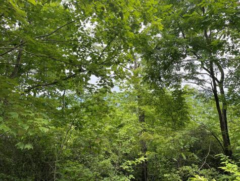 12, 13a Brasstown Heights Lane Brasstown NC 28902