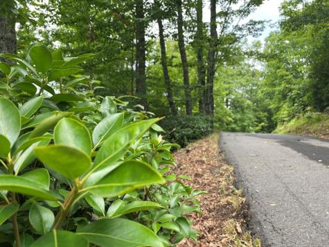 12, 13a Brasstown Heights Lane Brasstown NC 28902