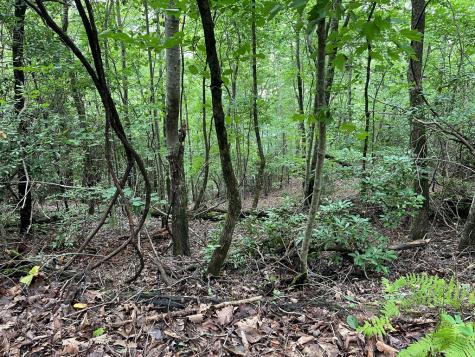 12, 13a Brasstown Heights Lane Brasstown NC 28902