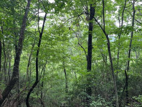 12, 13a Brasstown Heights Lane Brasstown NC 28902