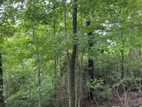 12, 13a Brasstown Heights Lane Brasstown NC 28902