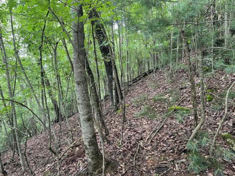 12, 13a Brasstown Heights Lane Brasstown NC 28902