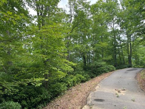 12, 13a Brasstown Heights Lane Brasstown NC 28902